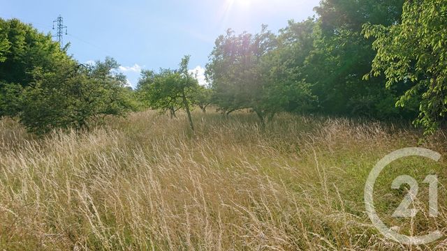 terrain à vendre - 2650.0 m2 - CREZANCY - 02 - PICARDIE - Century 21 Emilie Pelletier