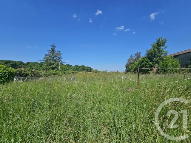 maison à vendre - 5 pièces - 113.2 m2 - LA FERTE SOUS JOUARRE - 77 - ILE-DE-FRANCE - Century 21 Emilie Pelletier