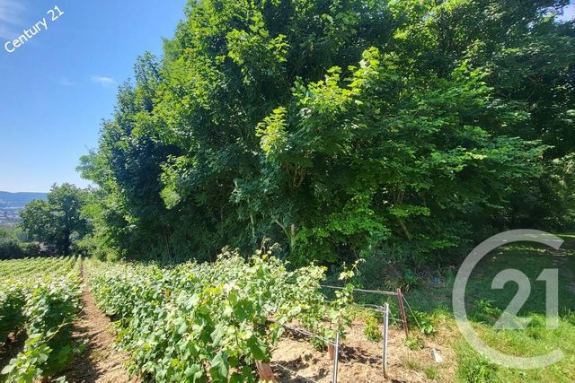 terrain à vendre - 4860.0 m2 - CHATEAU THIERRY - 02 - PICARDIE - Century 21 Emilie Pelletier